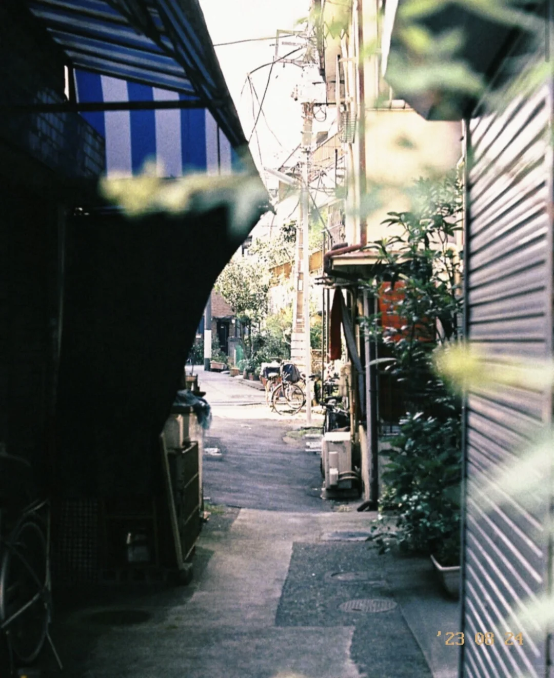 谁懂啊😭这个胶片相机真的很日系✅