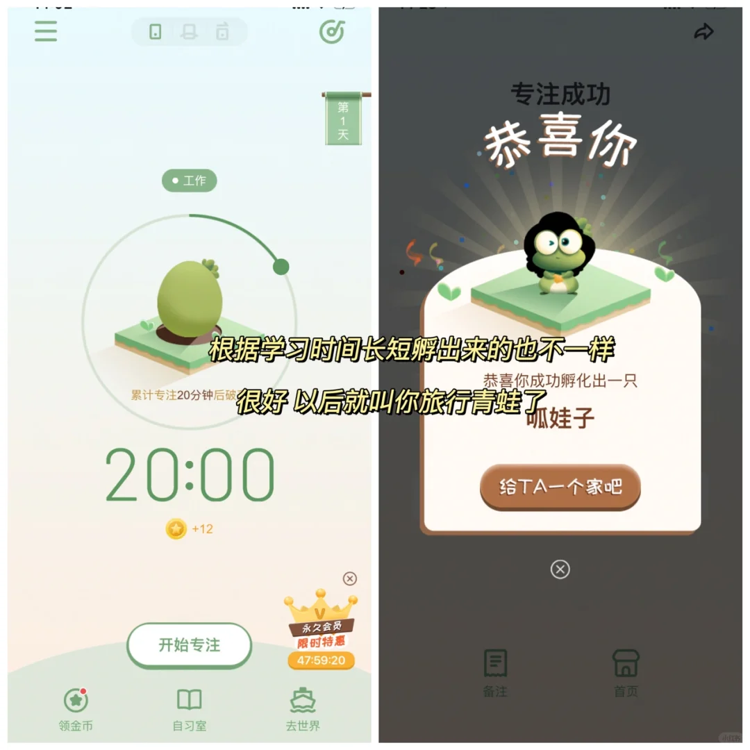 一边学习一边开盲蛋是什么体验