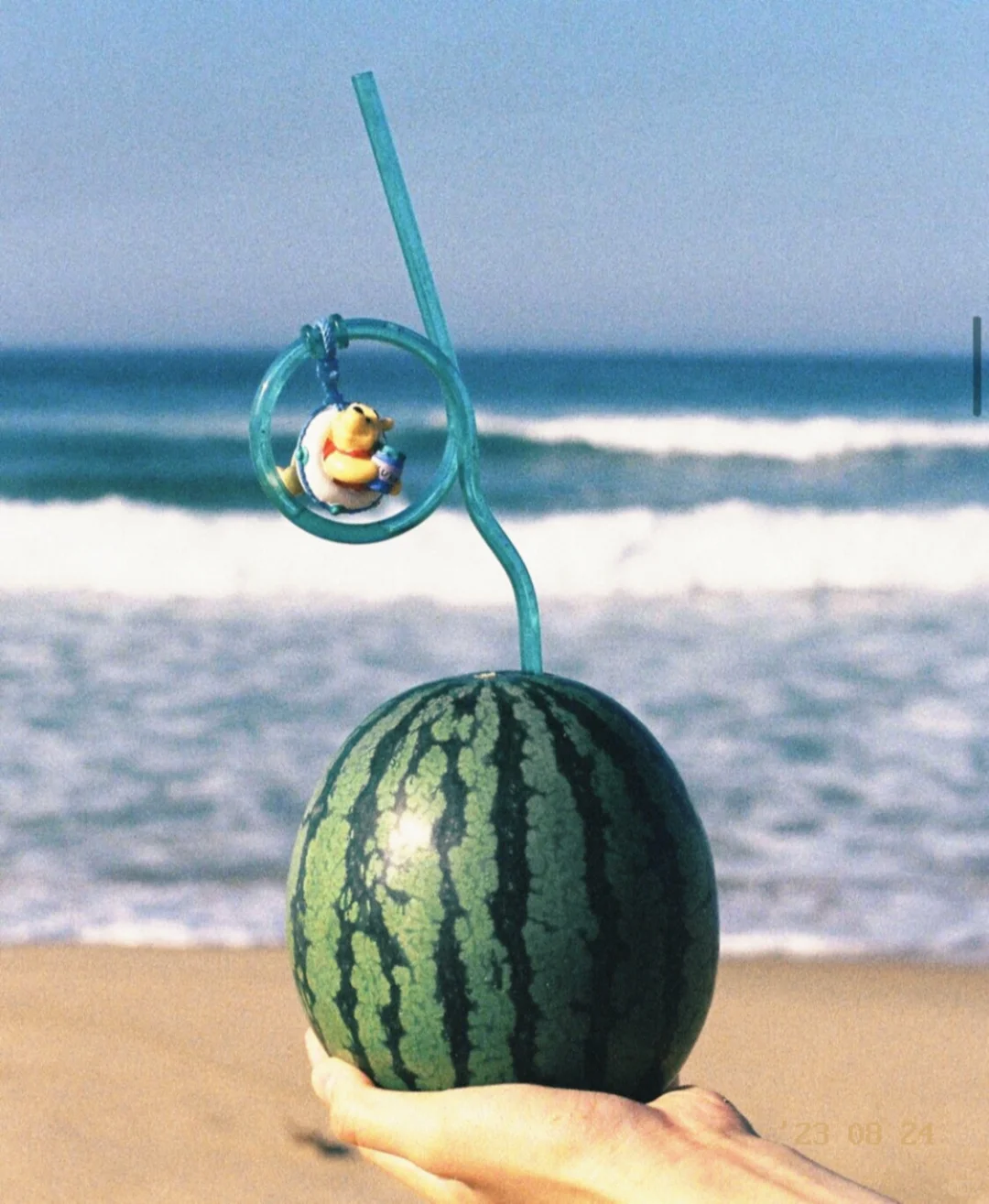 谁懂啊😭这个胶片相机真的很日系✅