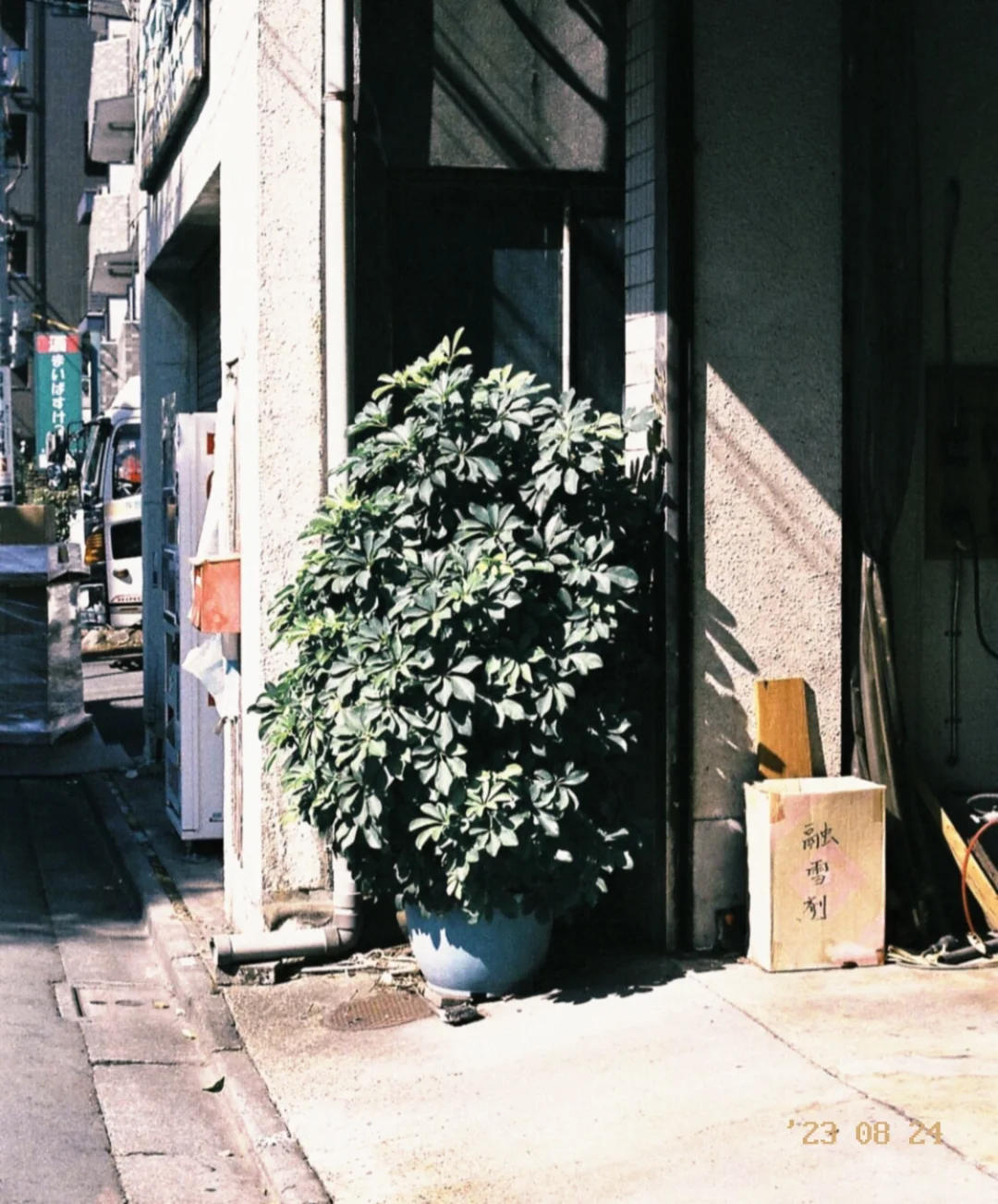 谁懂啊😭这个胶片相机真的很日系✅