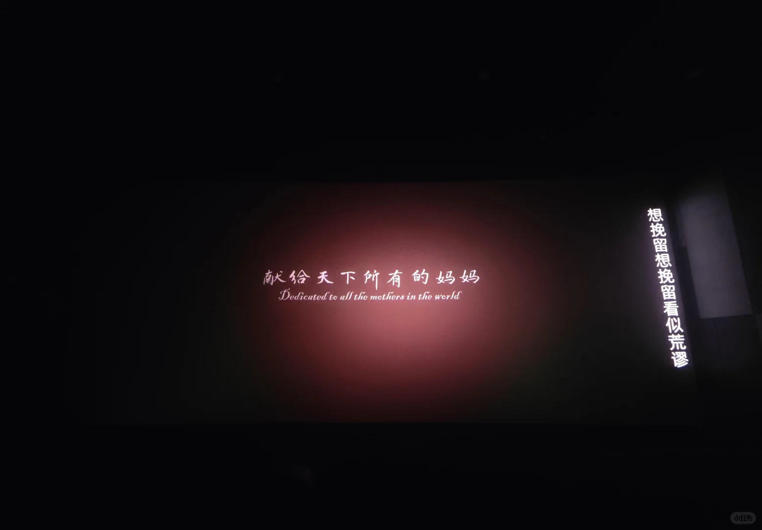 一个人包场《水饺皇后》，然后哭的稀烂！