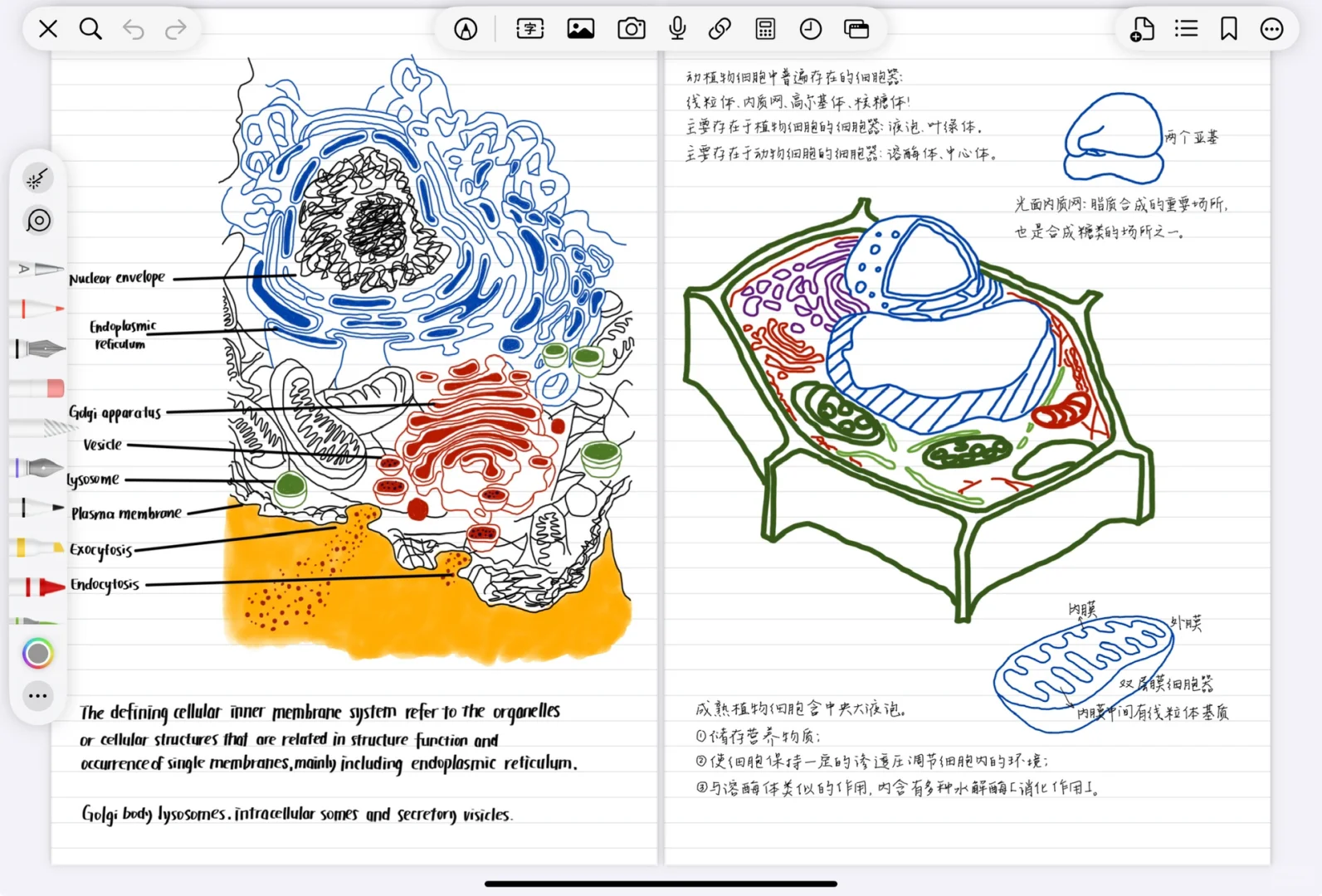 我做了款全能型手写笔记App。