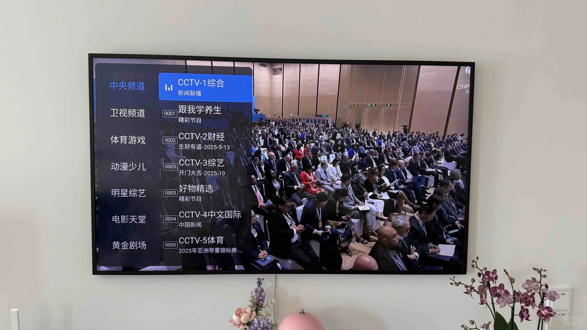 海外用Fire TV，看国内电视直播神器附攻略