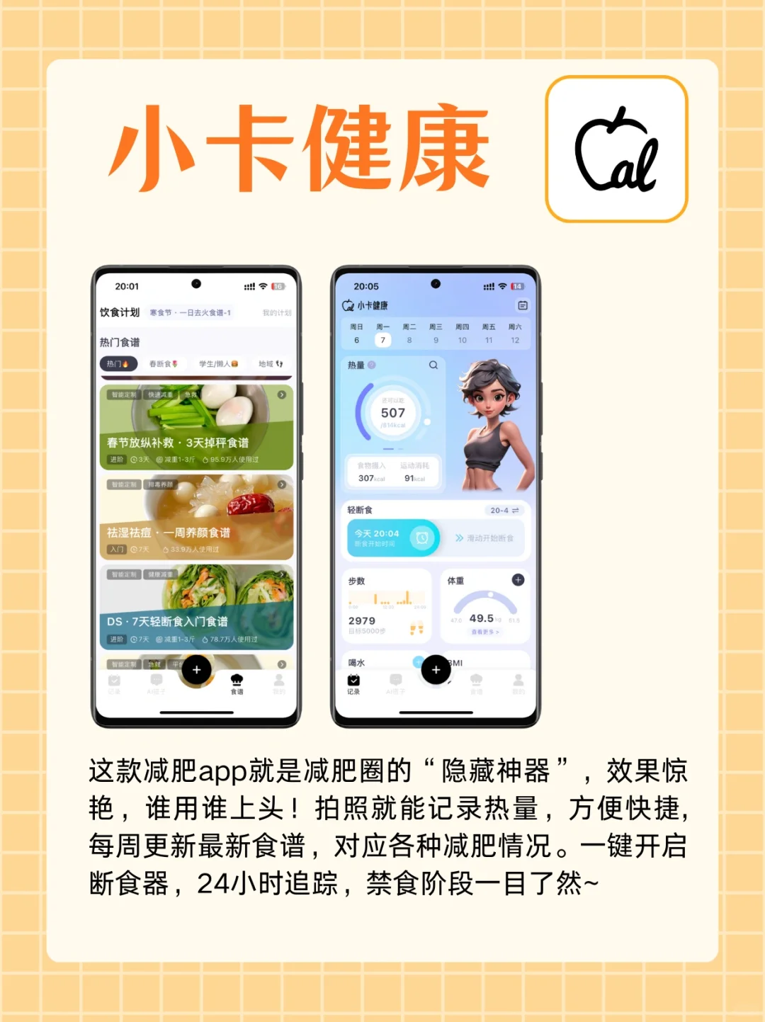 小白必看！躺平养生app大赏