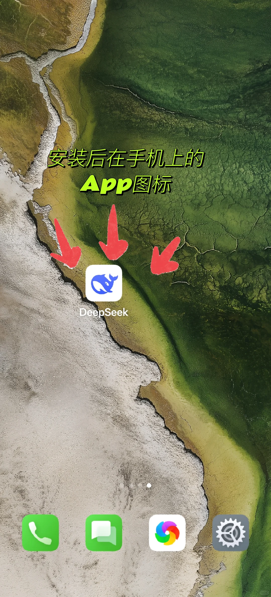 deepseek安装使用教程