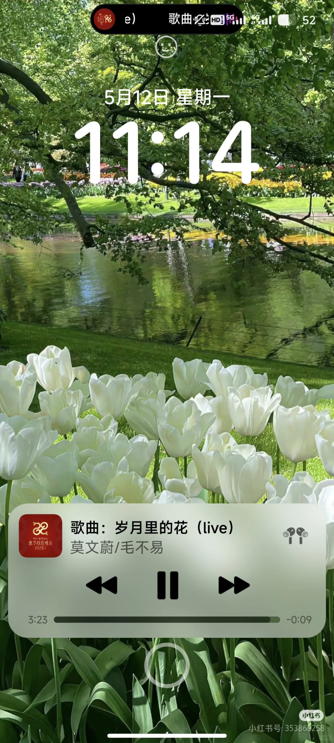 夏天氛围拉满 小米14桌面布局