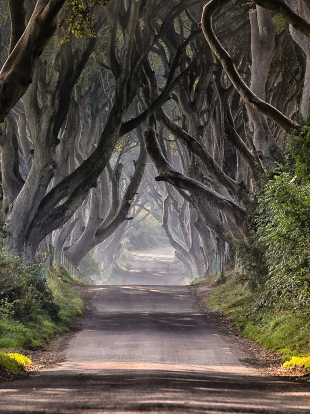 英国电影取景地打卡🎬跟着镜头解锁英伦浪