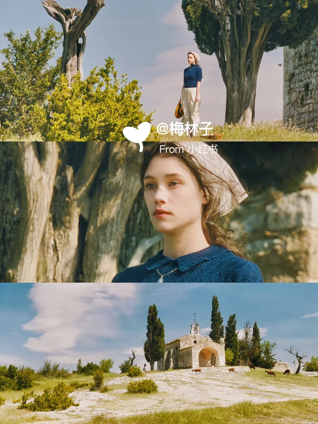 啊啊‼内心要多幸福，才能做出这样的电影🥳