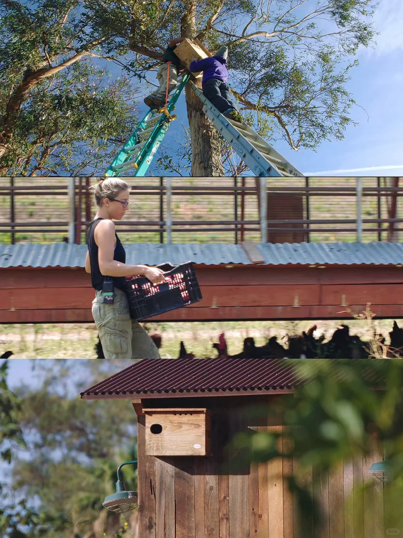 豆瓣9.3，不愧是最治愈的神片，没有之一！