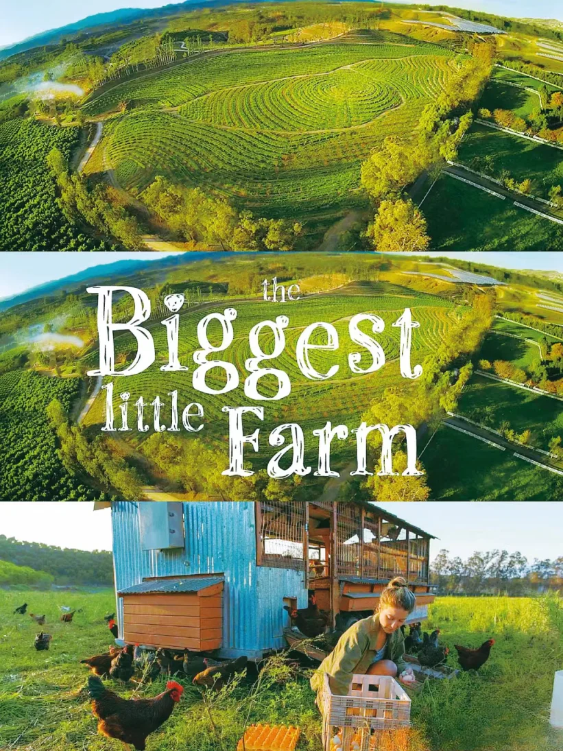 豆瓣9.3，不愧是最治愈的神片，没有之一！