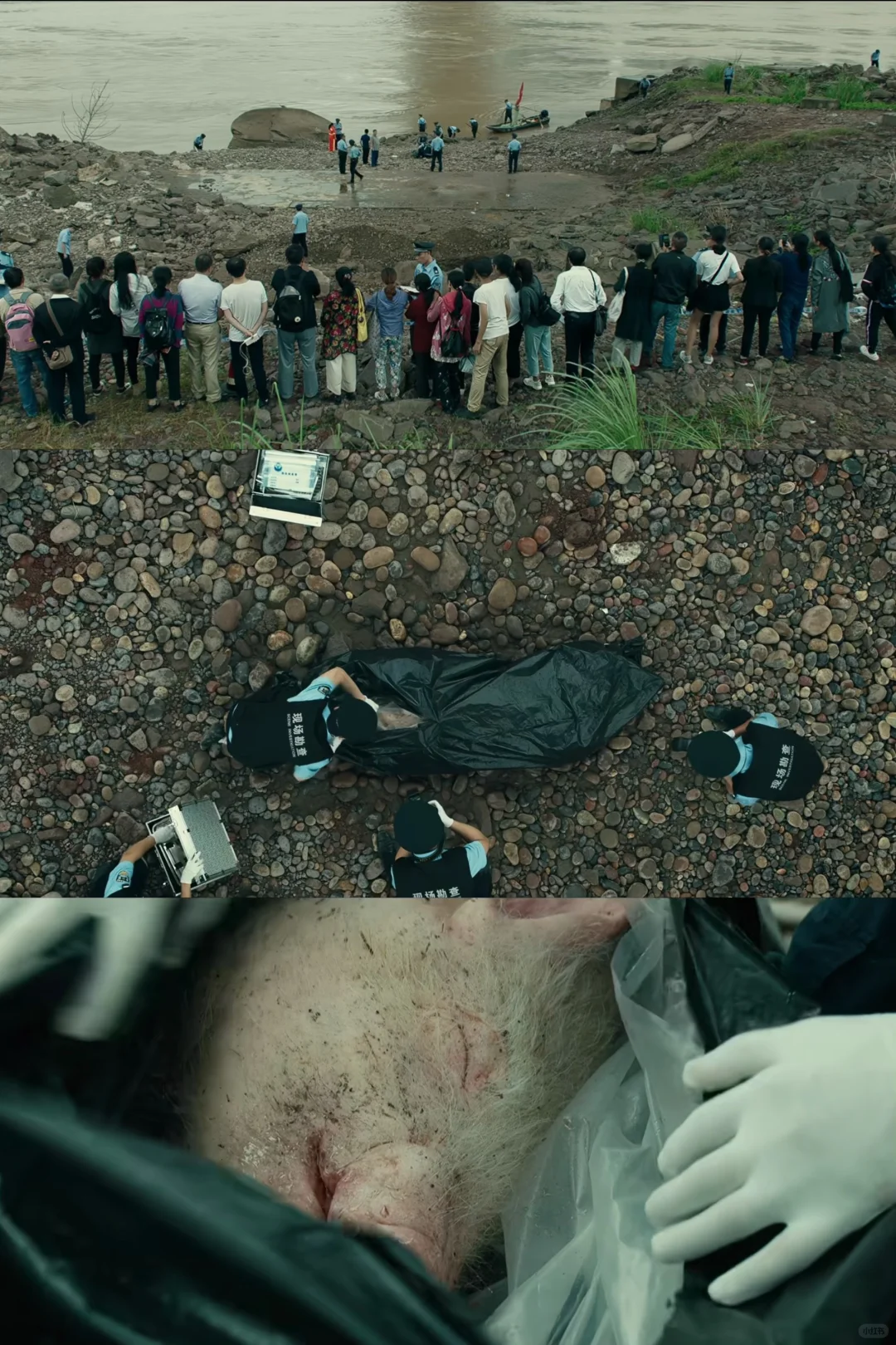 🆘全员狠人大尺度犯罪片～胆小误入