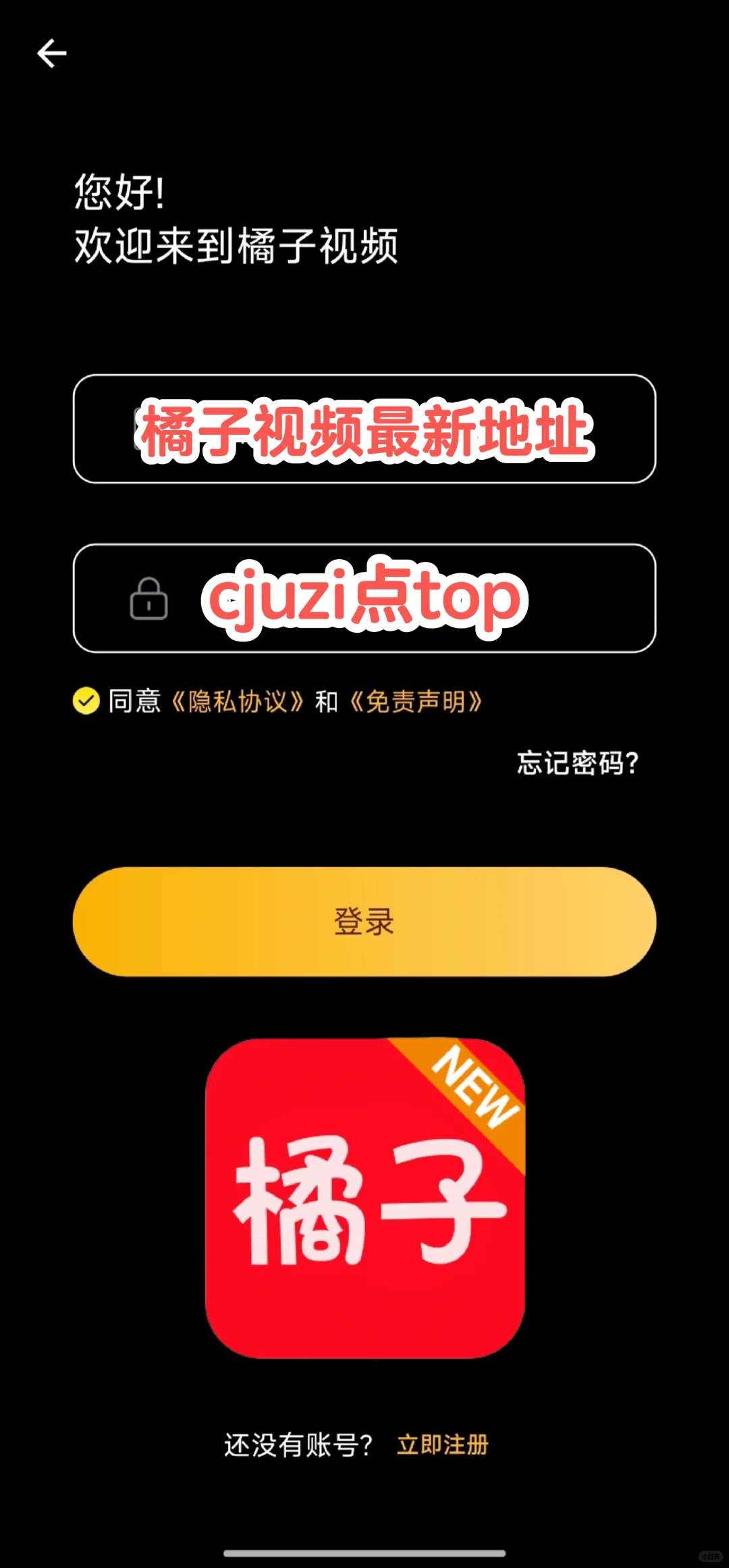 属于橘子🍊的浪漫！