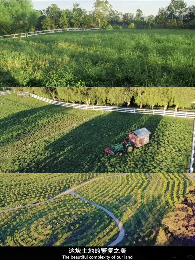 豆瓣9.3，不愧是最治愈的神片，没有之一！