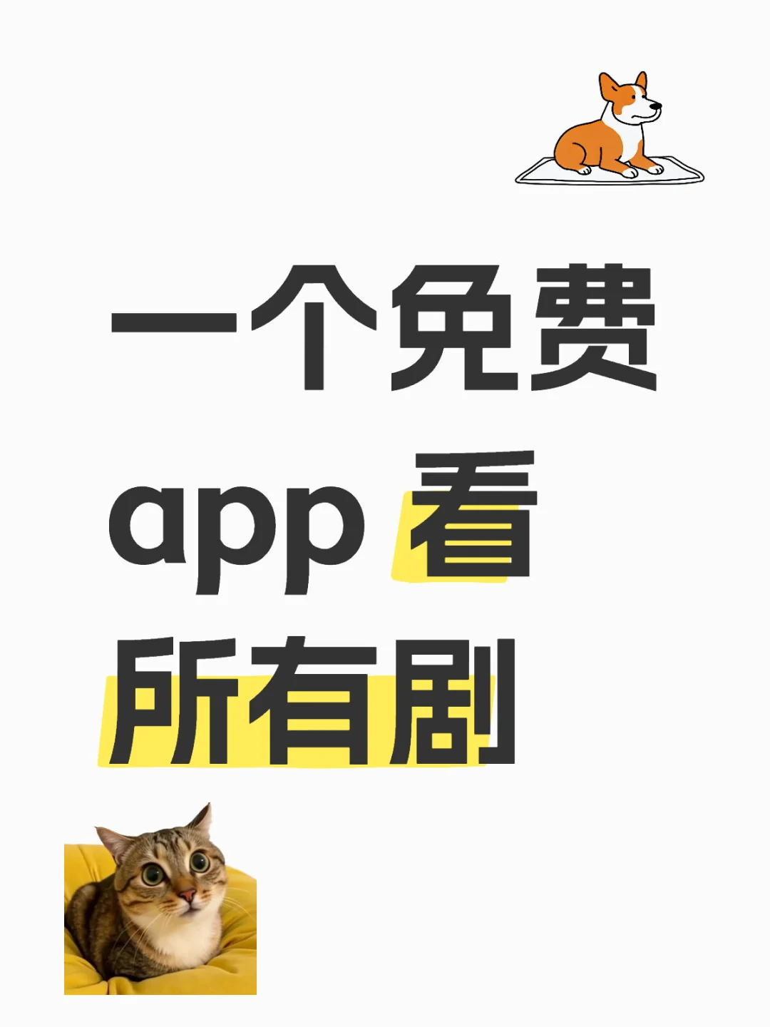 一个免费app 安卓苹果都可
