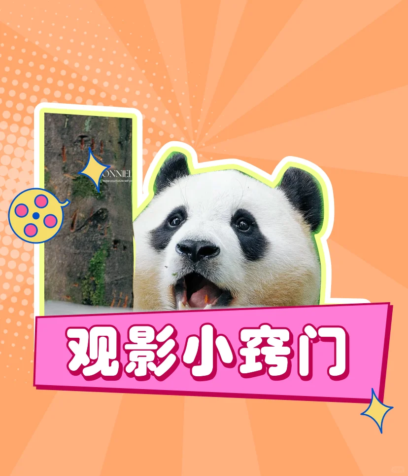 免费追剧app推荐：苹果上最实用的选择