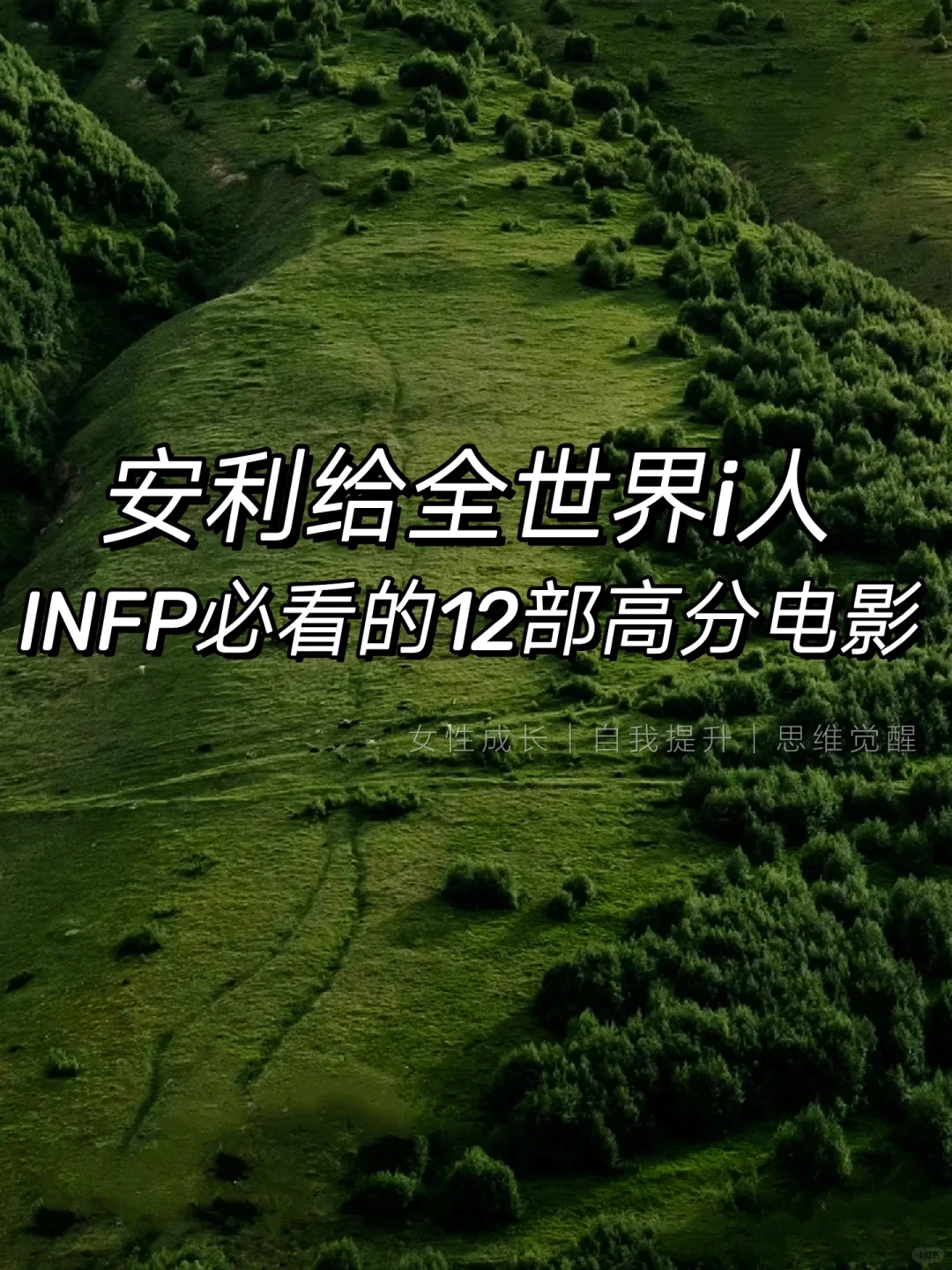 INFP必看｜12部小众高分人生电影