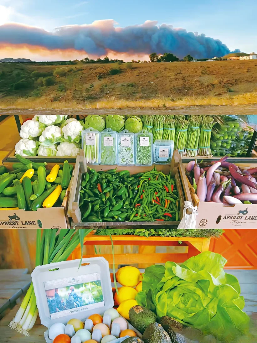 豆瓣9.3，不愧是最治愈的神片，没有之一！