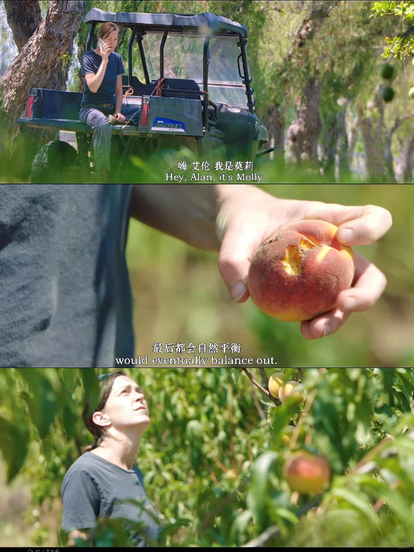 豆瓣9.3，不愧是最治愈的神片，没有之一！