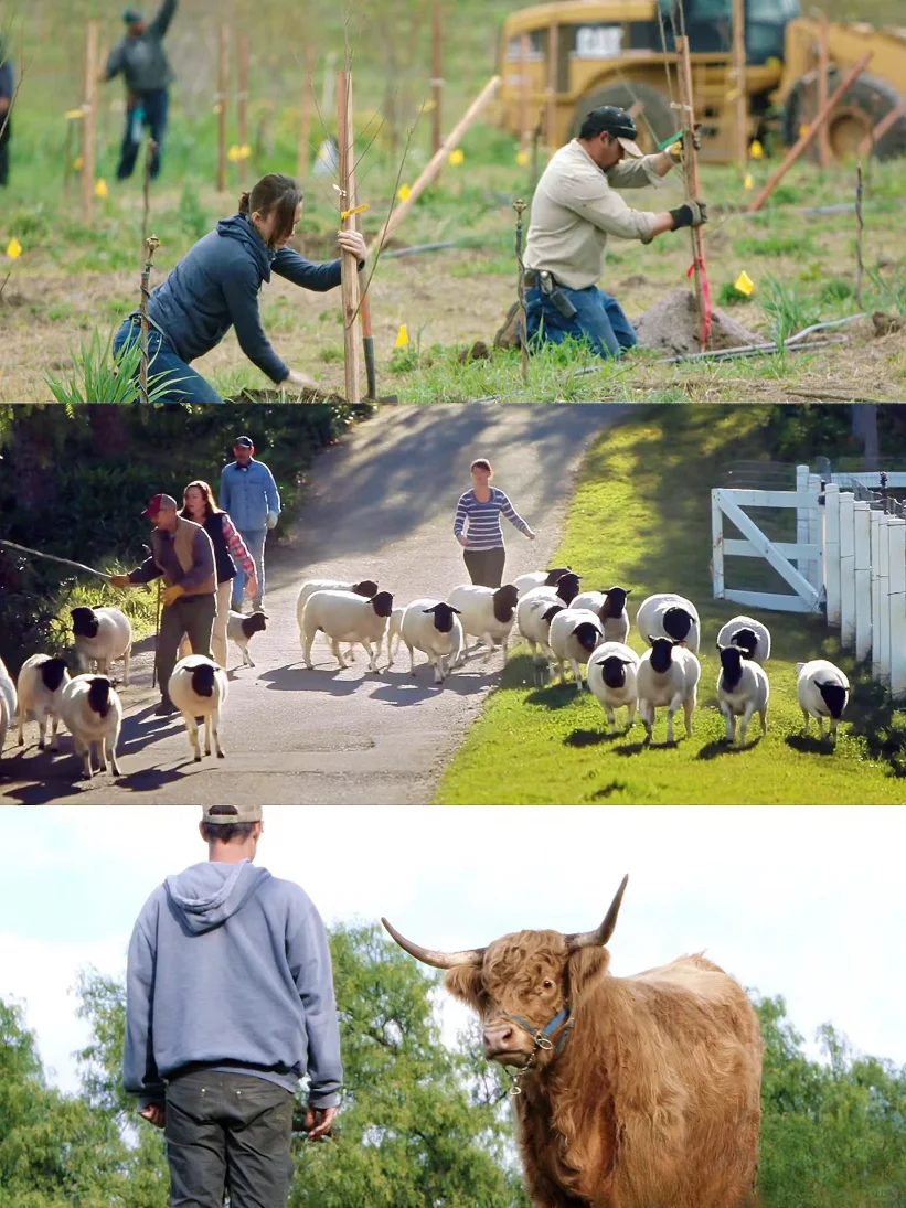 豆瓣9.3，不愧是最治愈的神片，没有之一！