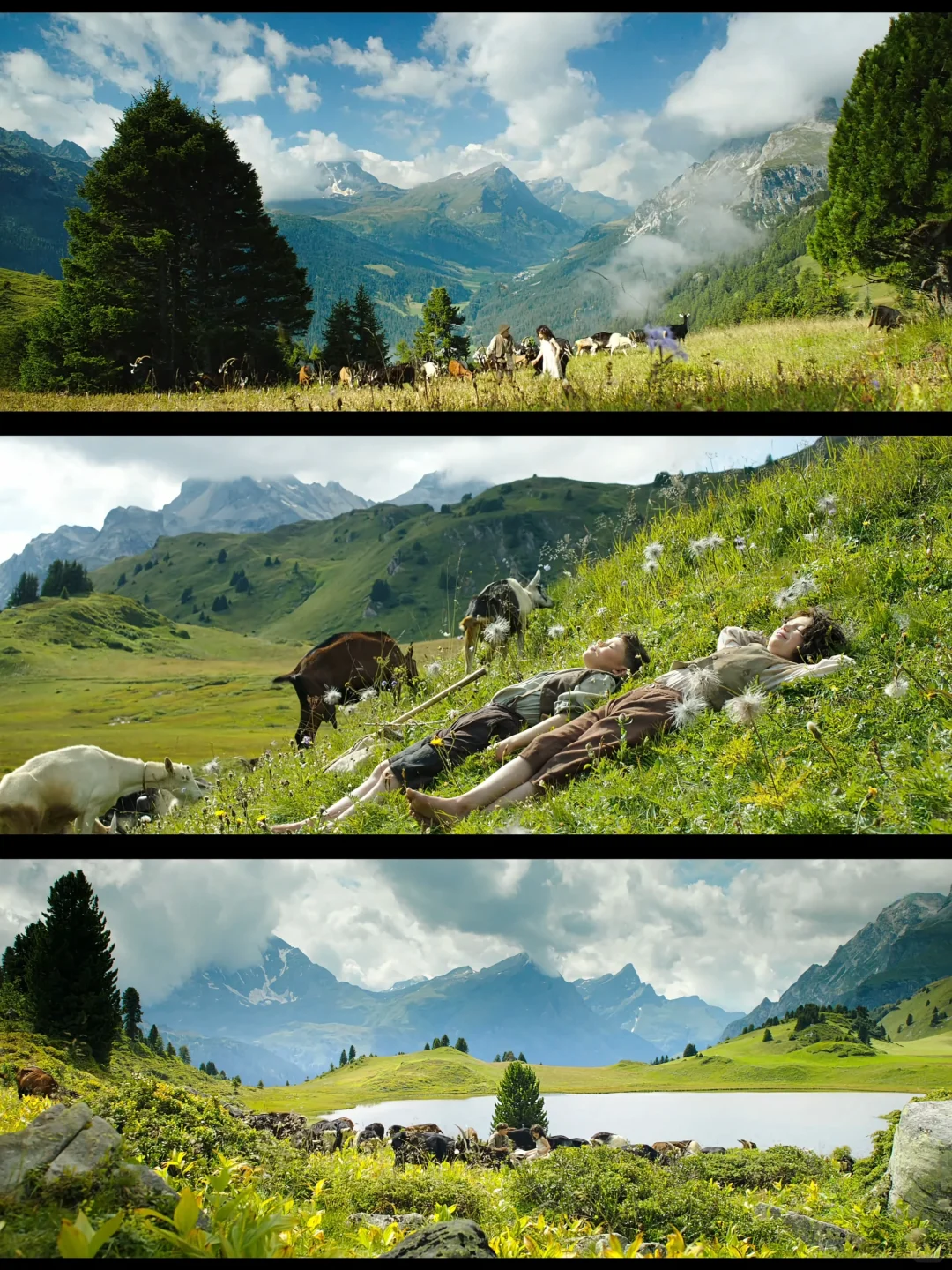 高分治愈🏔闭上眼感受风与自由🍃画面绝美