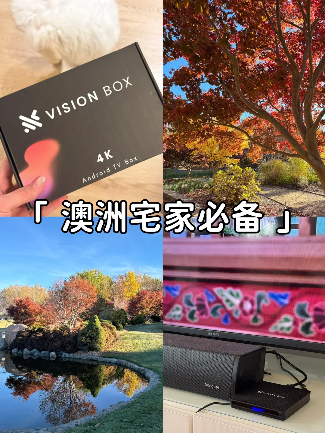 澳洲宅家必备！这个📺盒子让我彻底躺平了！