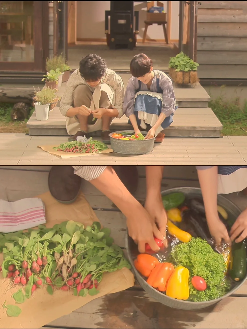 🎬电影｜每当我们彼此分享，似乎就能彼此理解