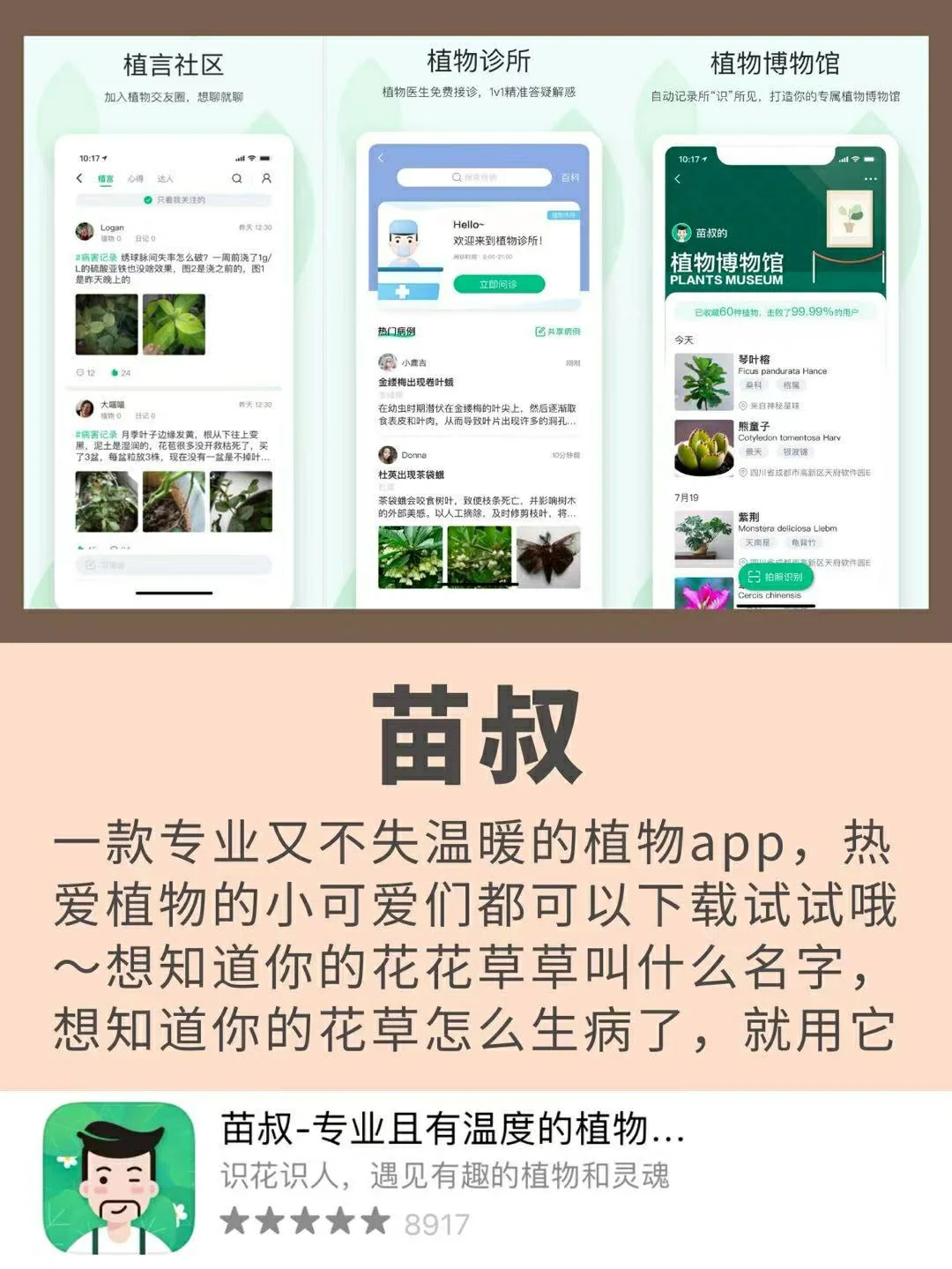 💕超级实用的app✨
