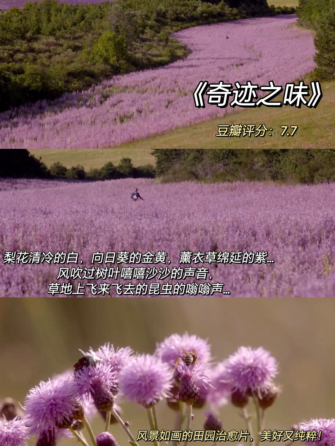 巨治愈‼️冬日假期周末宅家必看绝美电影