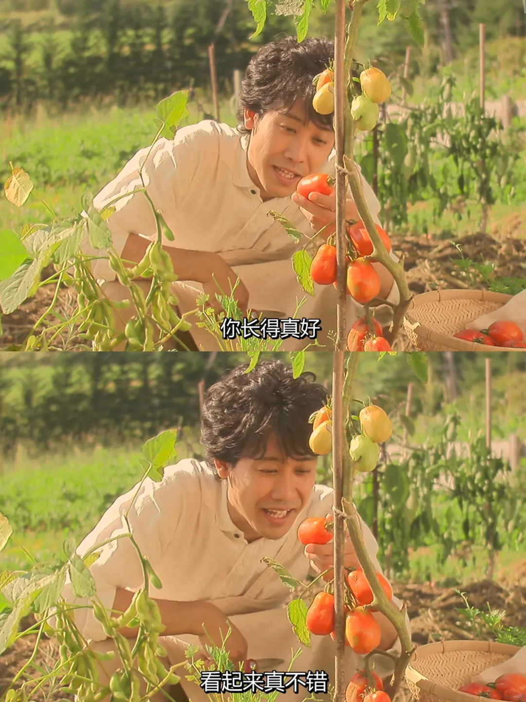 啊啊啊😭我居然找到了这部电影❗️❗️❗️