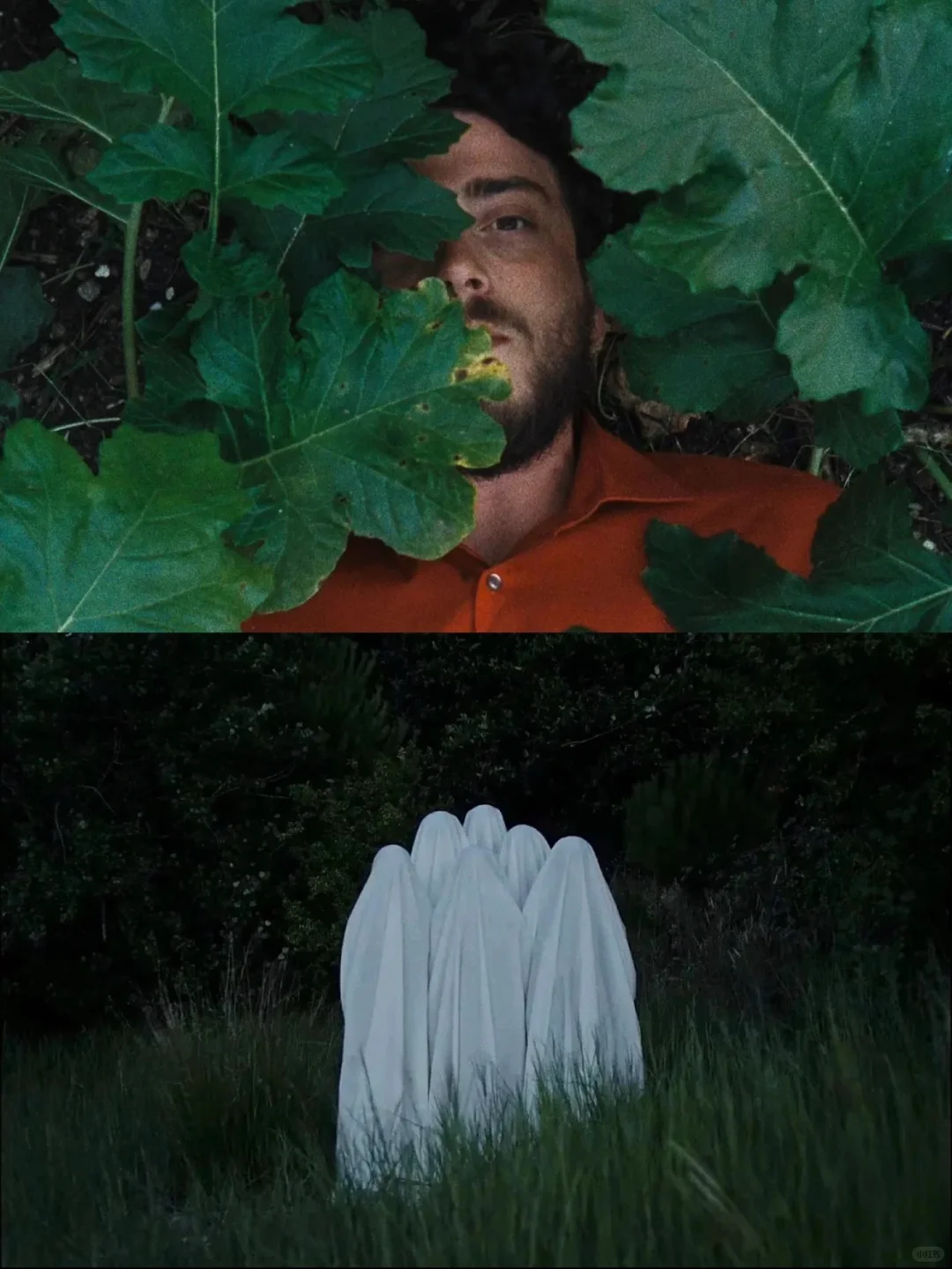 电影美学天花板❗️每一帧都美到失语💘