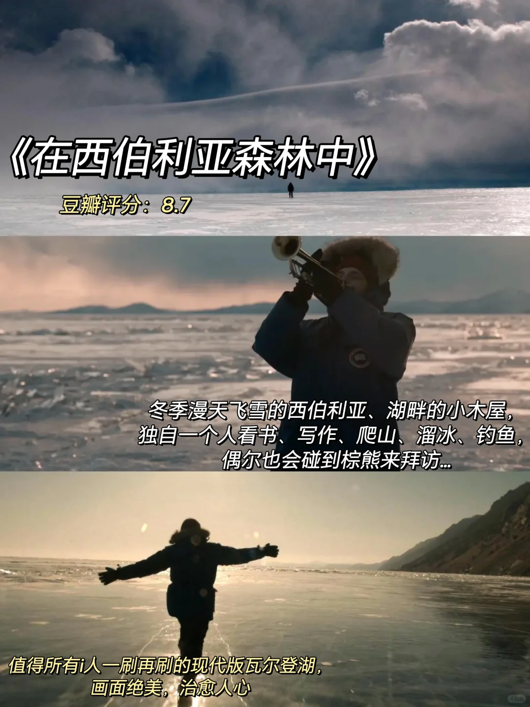 巨治愈‼️冬日假期周末宅家必看绝美电影