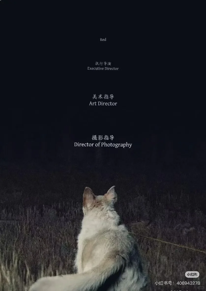 独立电影项目 如果你也有饥饿感 欢迎你。