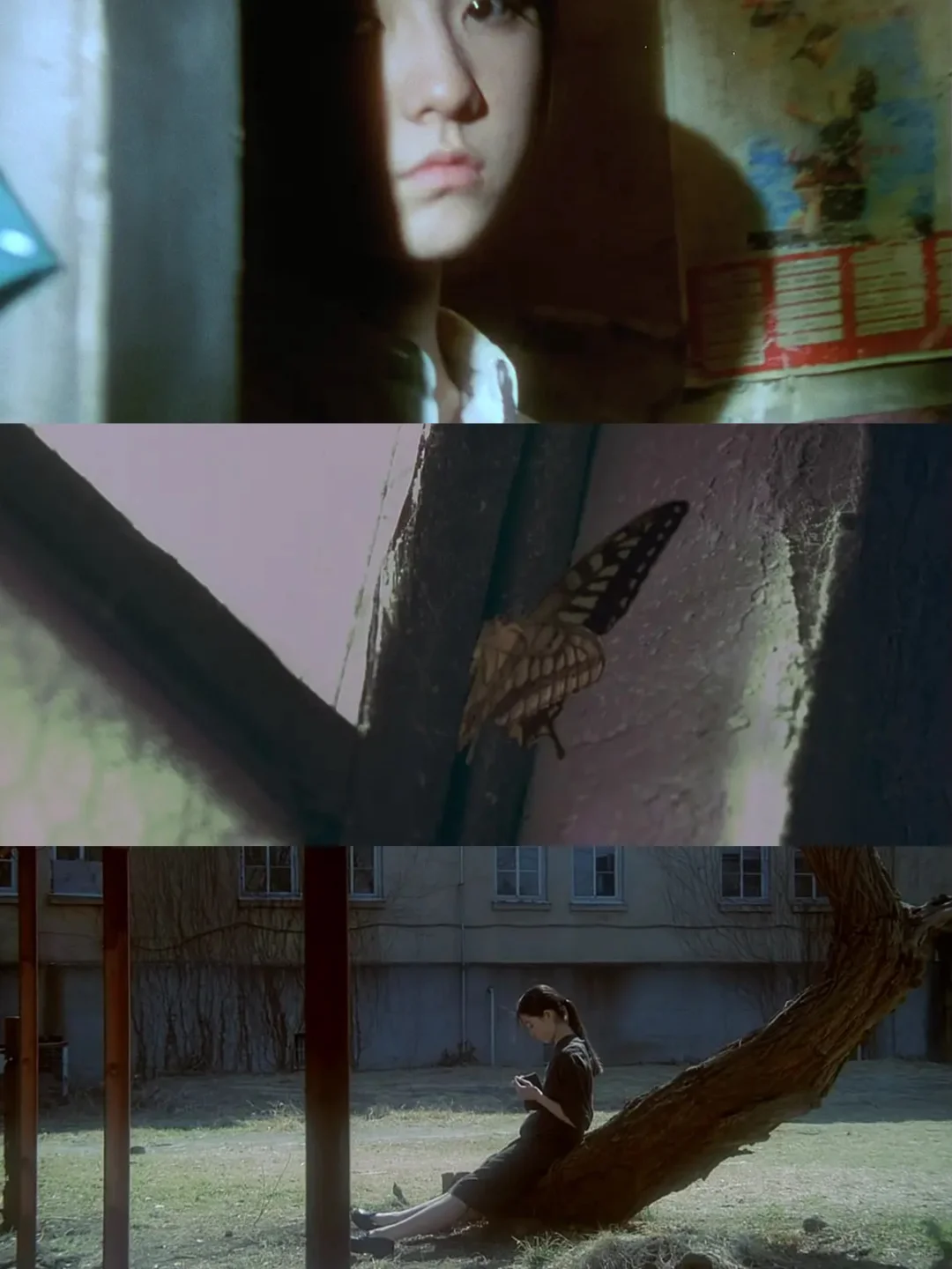 审美分享4｜我的灵感来源：只需看这9部电影