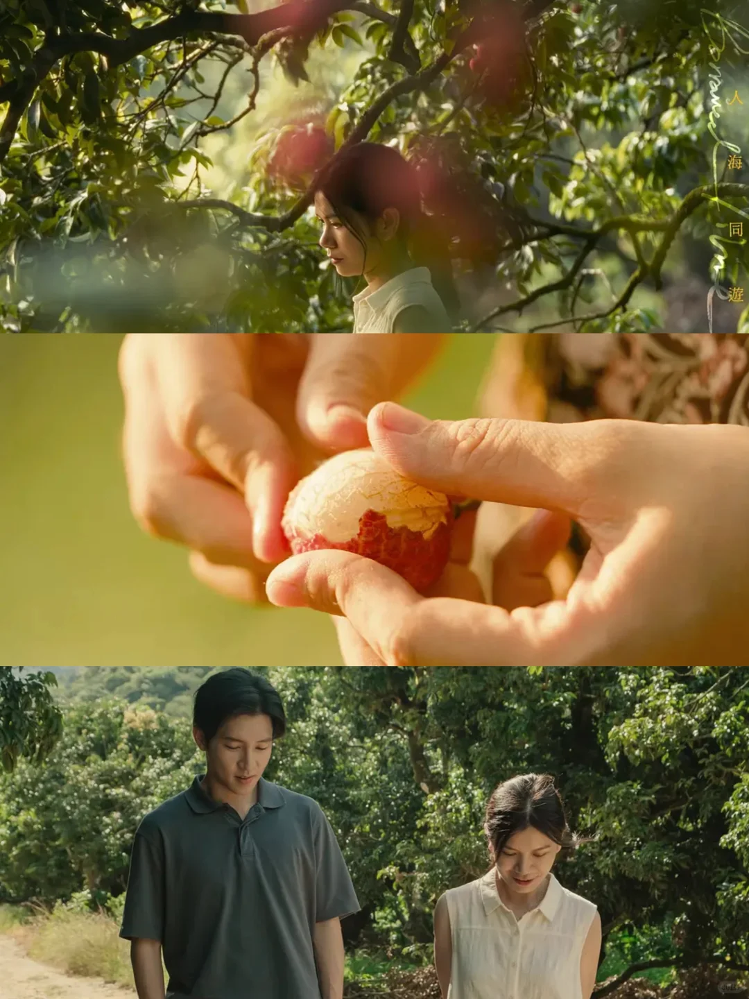 小众但极真诚 近期国产最佳