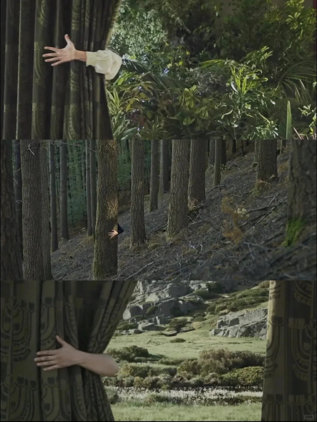 电影美学天花板❗️每一帧都美到失语💘