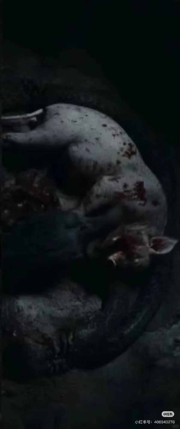 独立电影项目 如果你也有饥饿感 欢迎你。