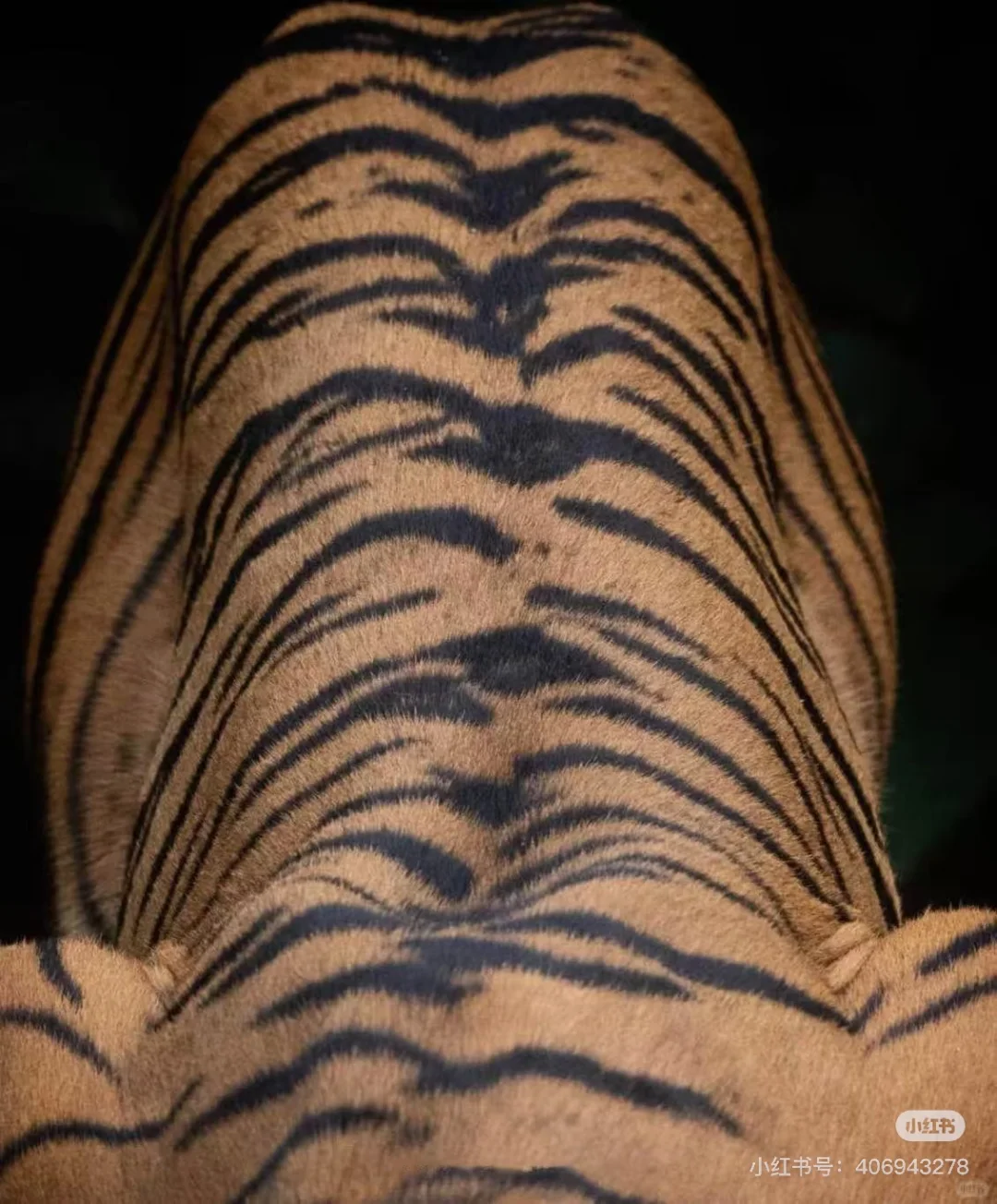 独立电影项目 如果你也有饥饿感 欢迎你。