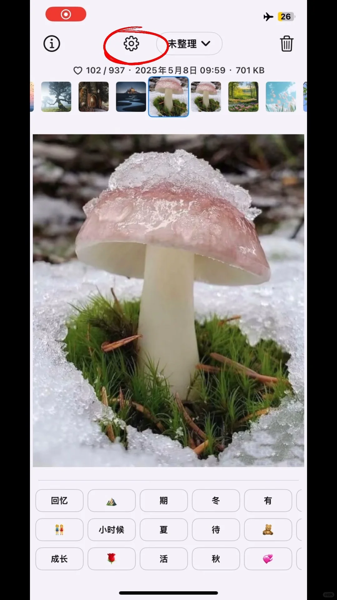 AirPhoto 可以一键清理🧹重复照片啦！