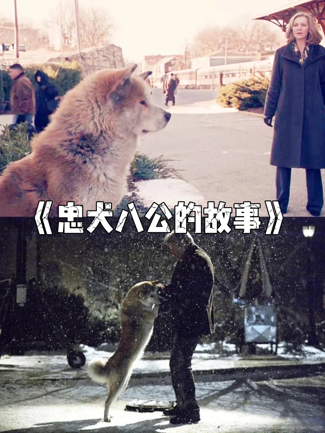 每日推荐九部高分剧情影片🎬，你看过几部