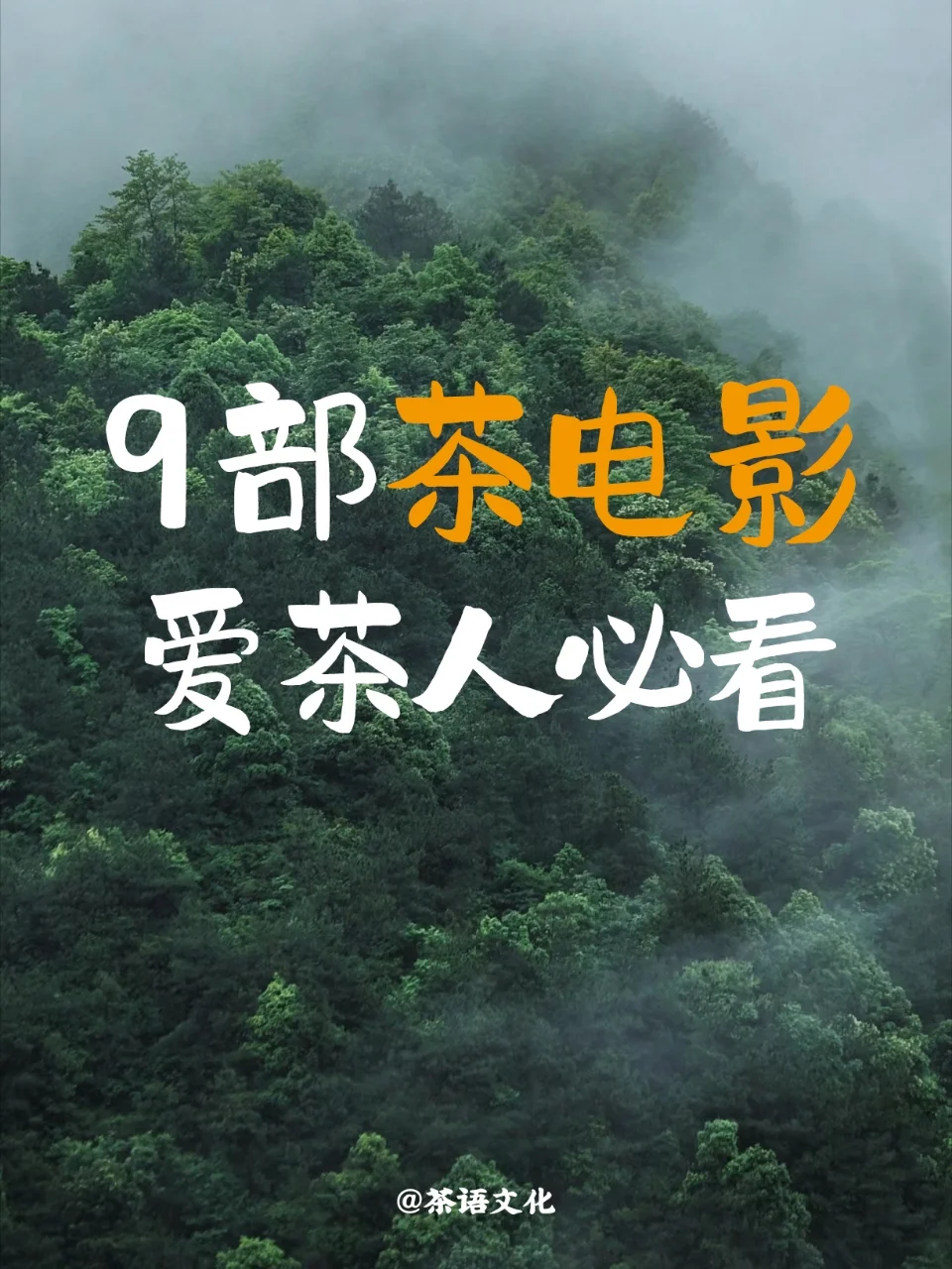 9部茶主题电影 看过3部以上才是真爱茶