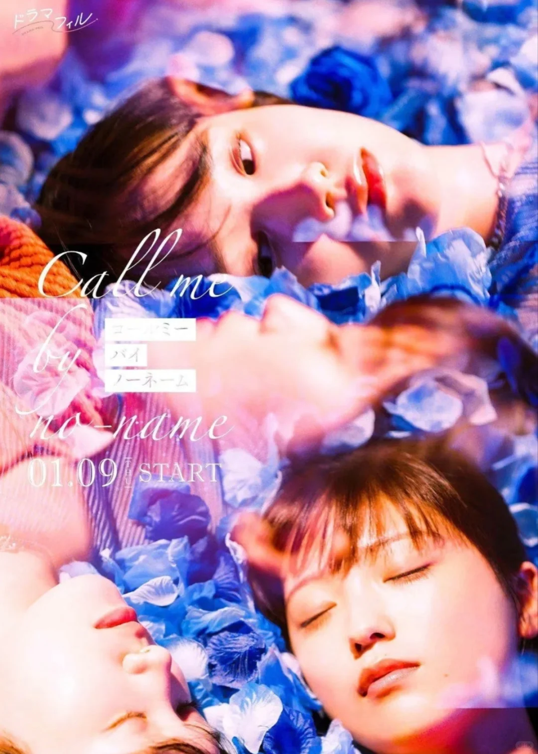 整理了一下看过的双女主电影电视剧作品