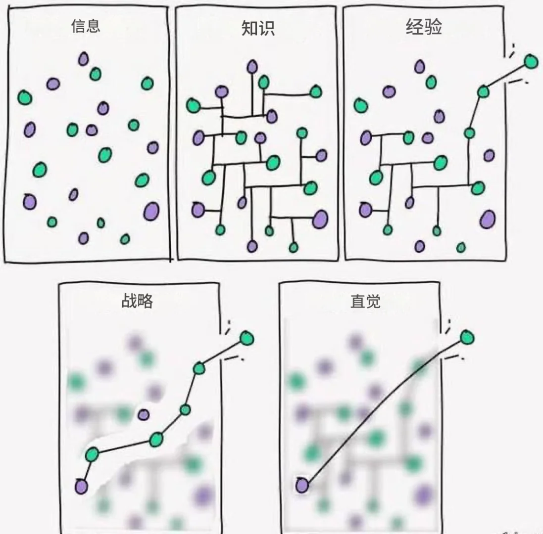普通人与天才的区别在于：直觉