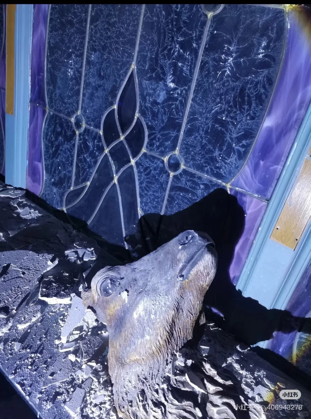 独立电影项目 如果你也有饥饿感 欢迎你。