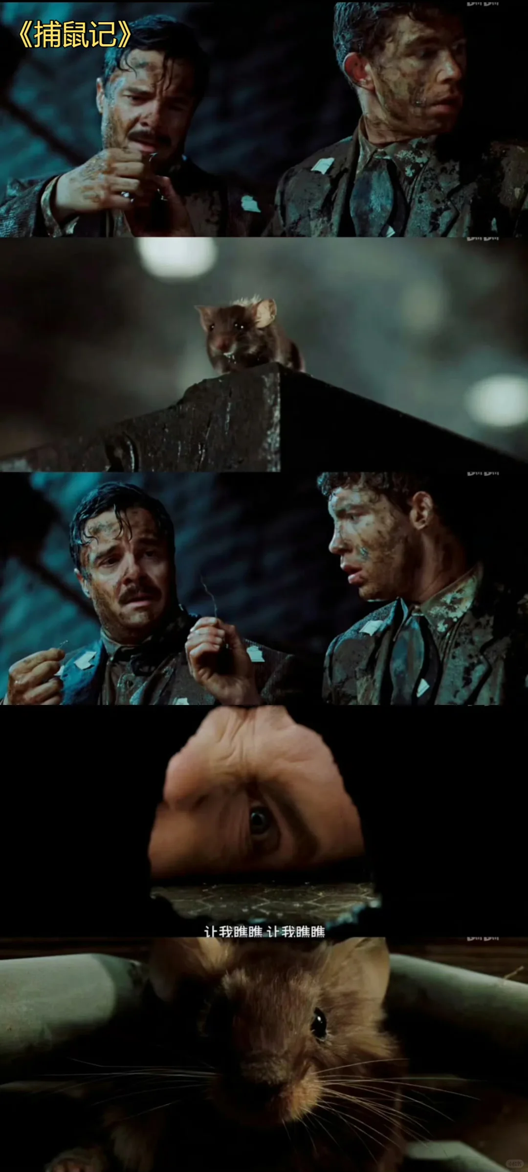 推荐十四部爆笑喜剧电影，专治不开心