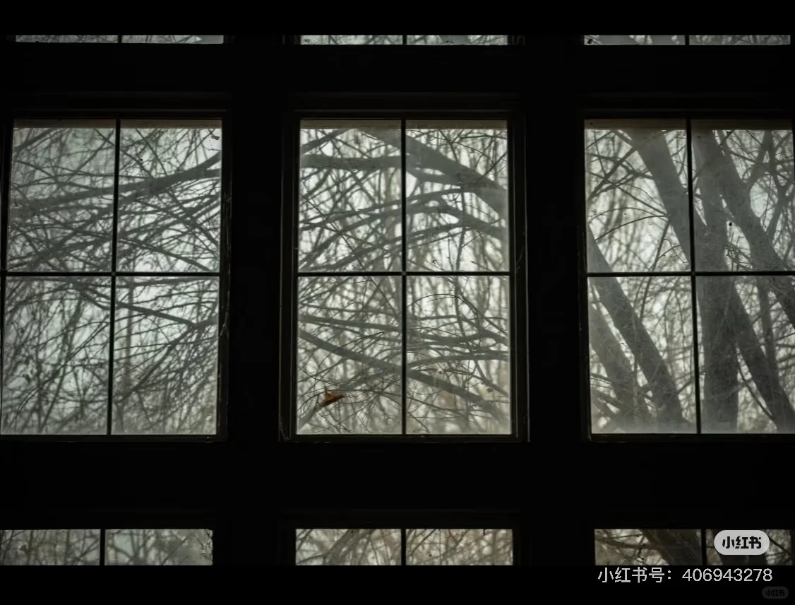 独立电影项目 如果你也有饥饿感 欢迎你。