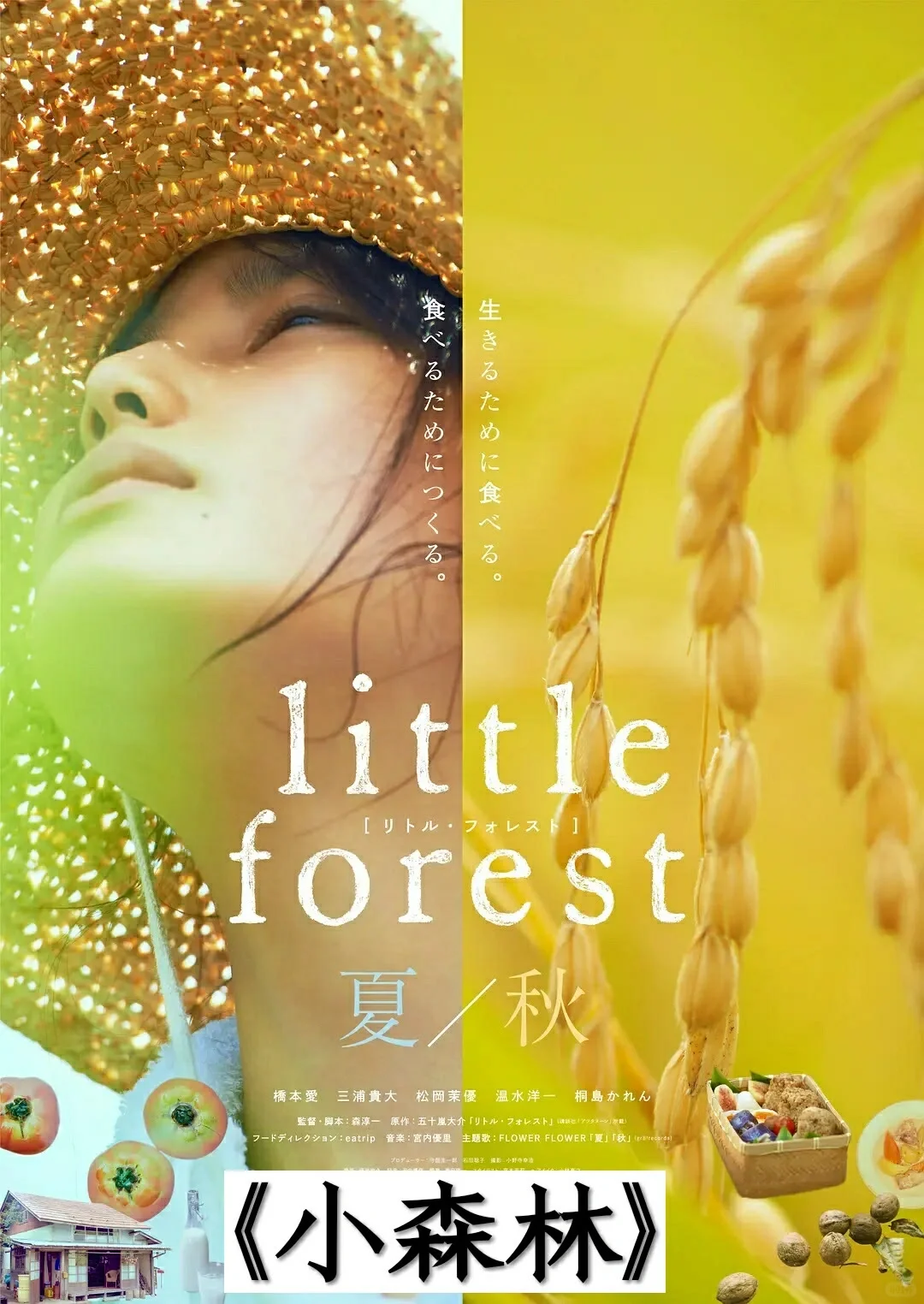 🆘这几部人生必看的电影❗️一定要看❗️