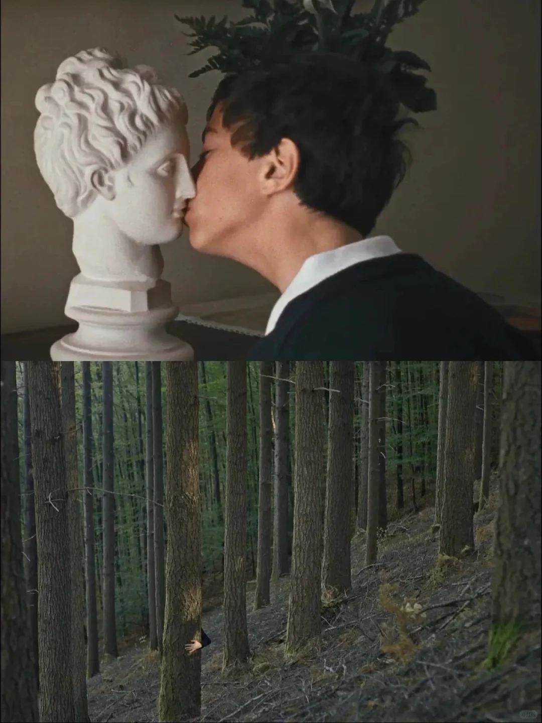 电影美学天花板❗️每一帧都美到失语💘