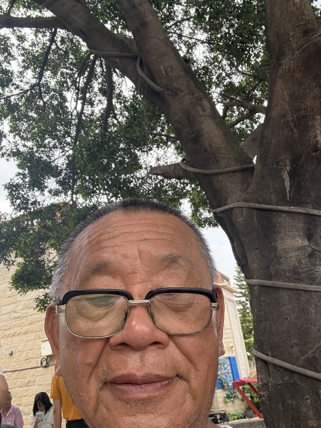 她让我给死人写信