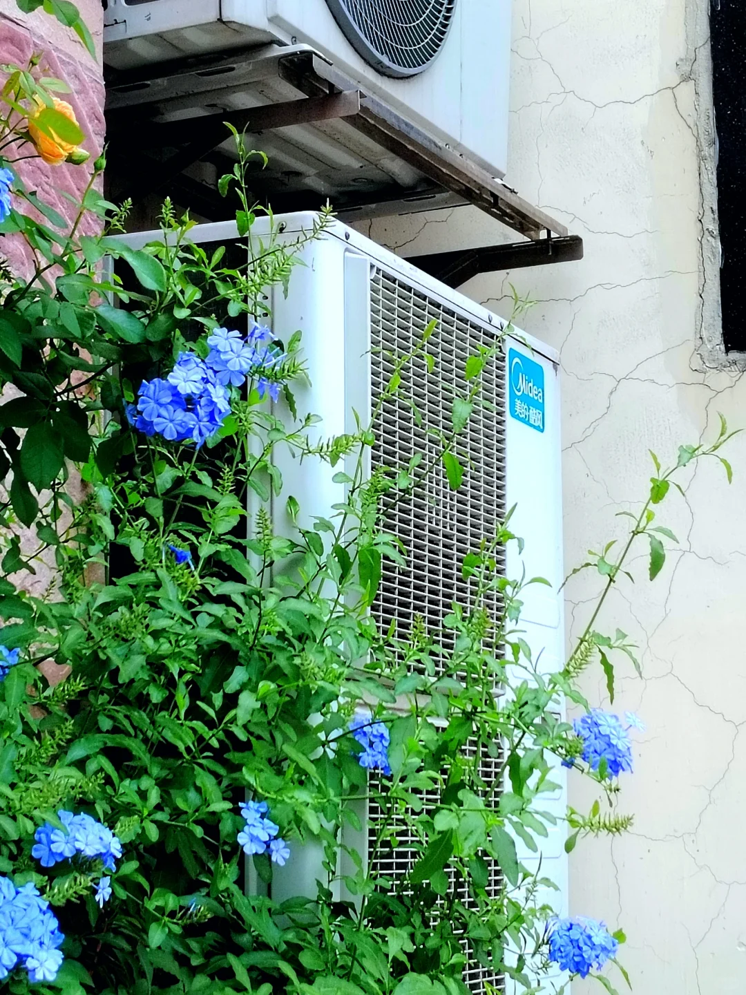 推荐相机软件！