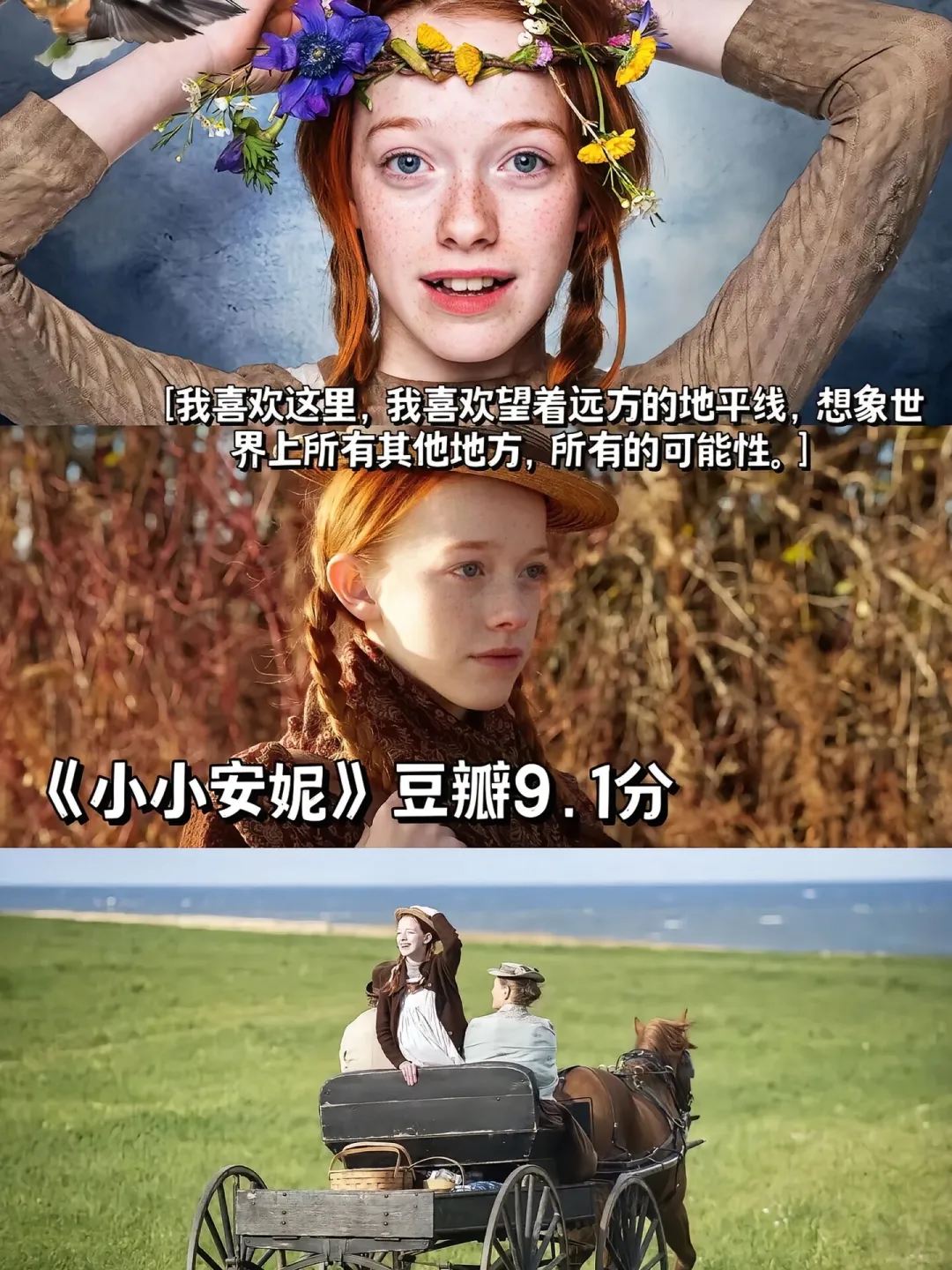 千万别错过这些电影！治愈系！